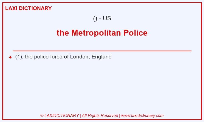 Definition the Metropolitan Police in American English