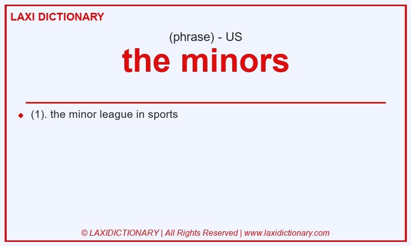 Definition the minors in American English