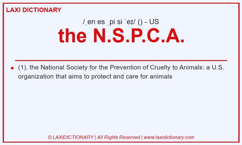 Definition the N.S.P.C.A. in American English