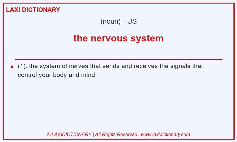 Definition the nervous system in American English