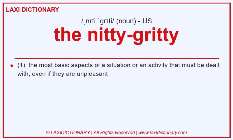 Definition the nitty-gritty in American English
