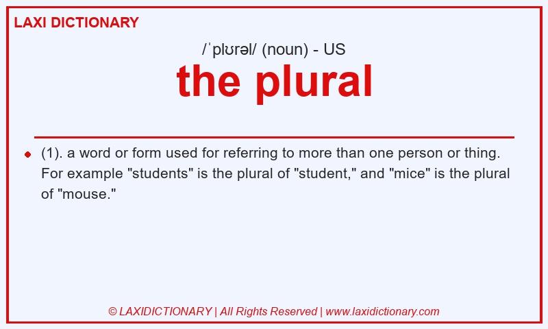 Definition the plural in American English