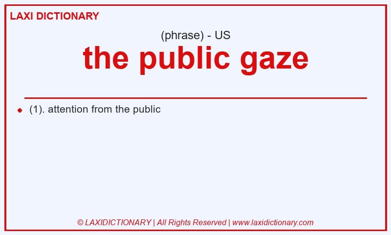 Definition the public gaze in American English