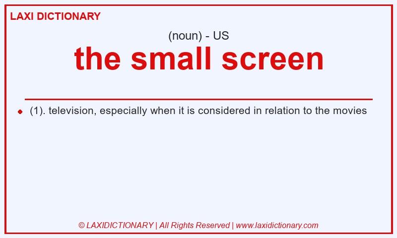Definition the small screen in American English