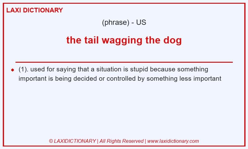Definition the tail wagging the dog in American English
