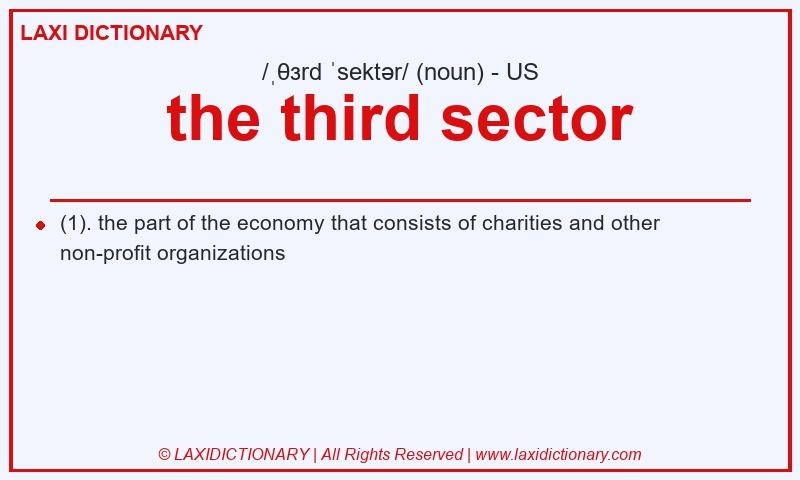 Definition the third sector in American English