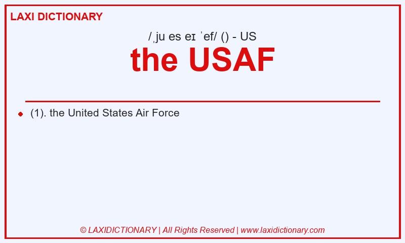 Definition the USAF in American English