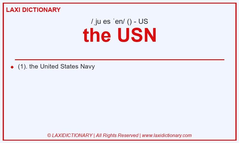 Definition the USN in American English