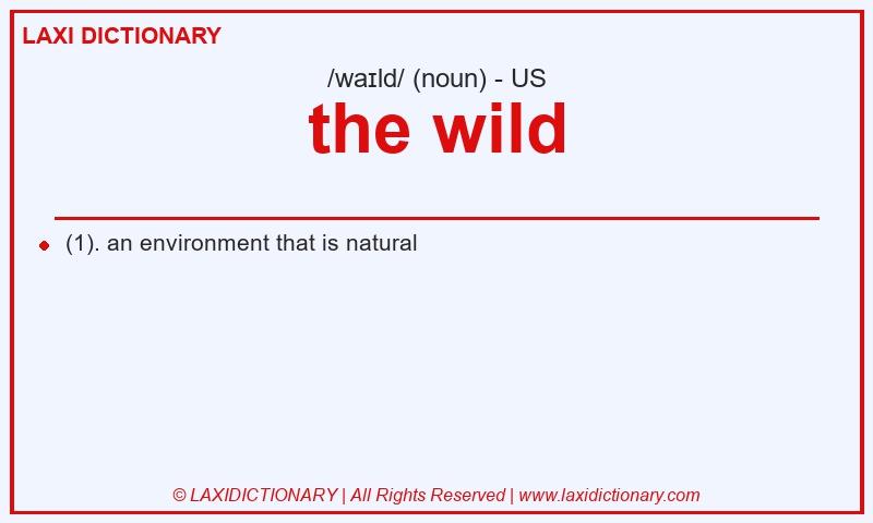 Definition the wild in American English
