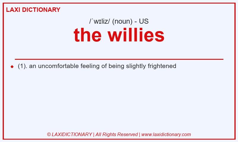 Definition the willies in American English