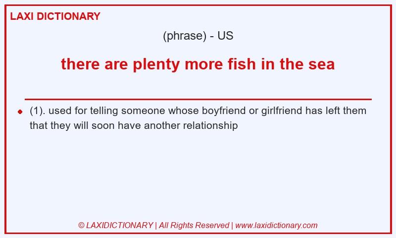 Definition there are plenty more fish in the sea in American English
