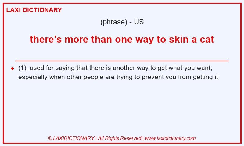 Definition there’s more than one way to skin a cat in American English