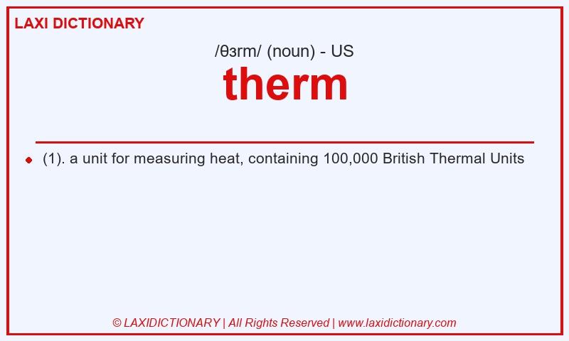 Definition therm in American English