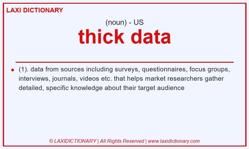 Definition thick data in American English