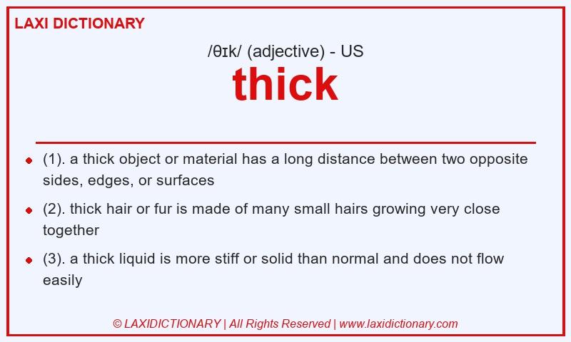 Definition thick in American English