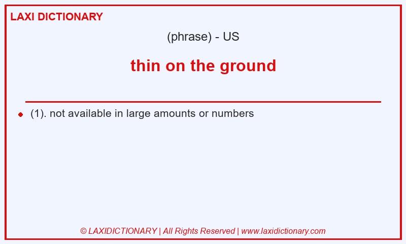 Definition thin on the ground in American English