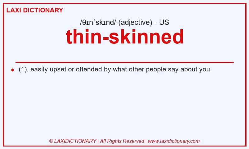 Definition thin-skinned in American English