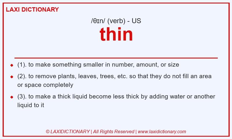 Definition thin in American English