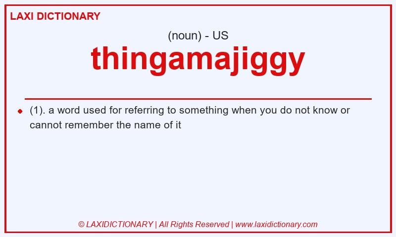 Definition thingamajiggy in American English
