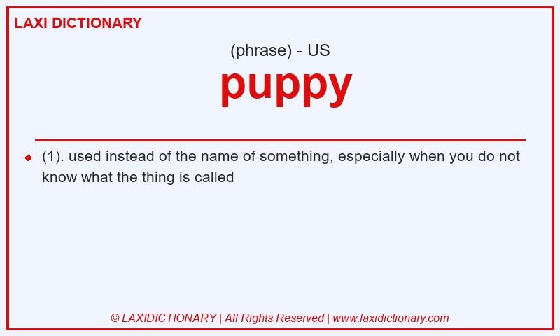 Definition  puppy in American English