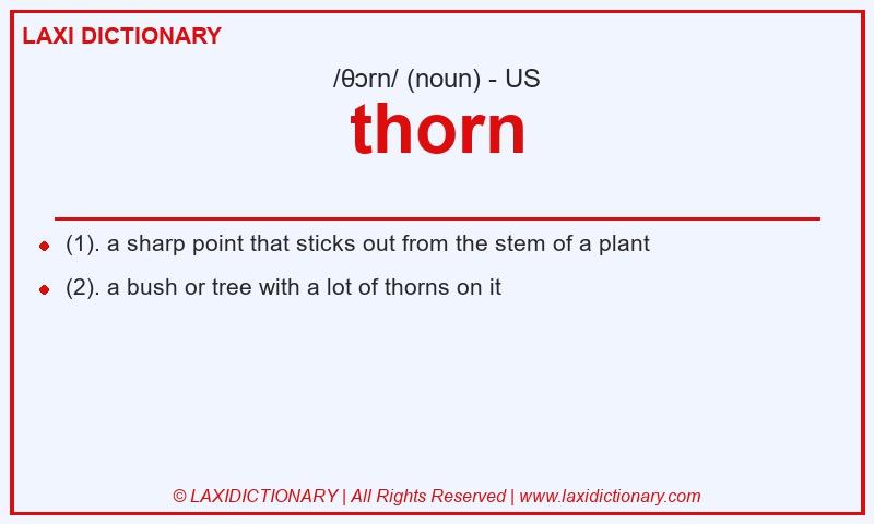 Definition thorn in American English