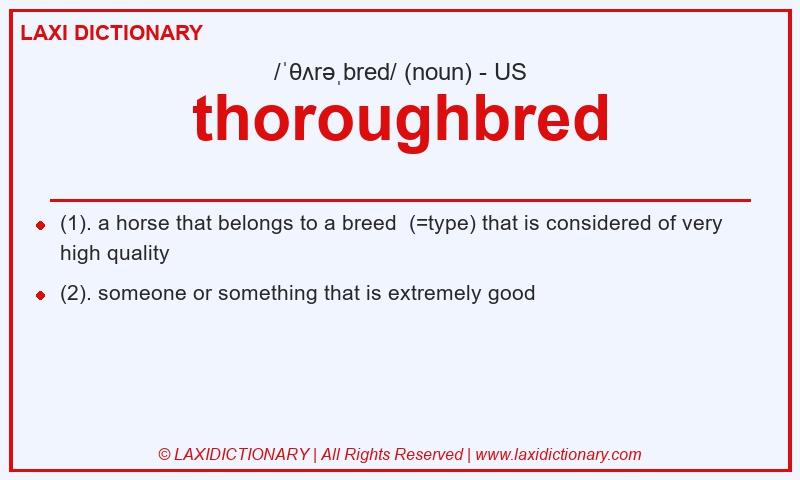 Definition thoroughbred in American English