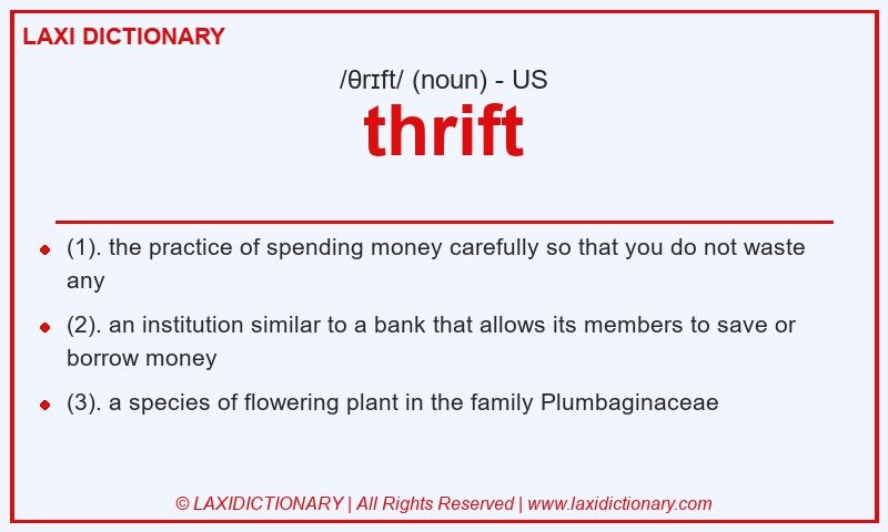 Definition thrift in American English