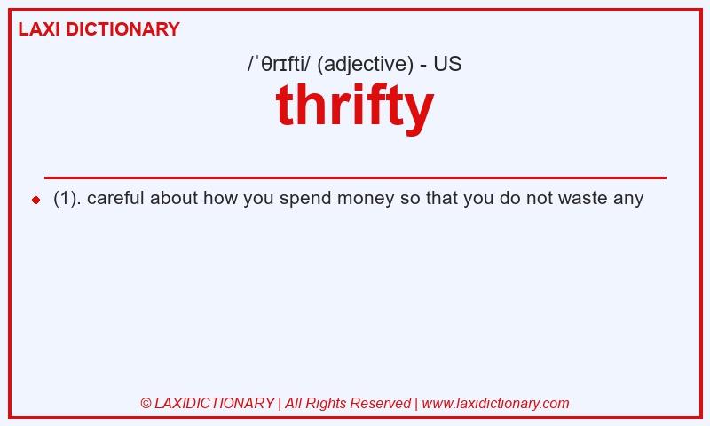 Definition thrifty in American English