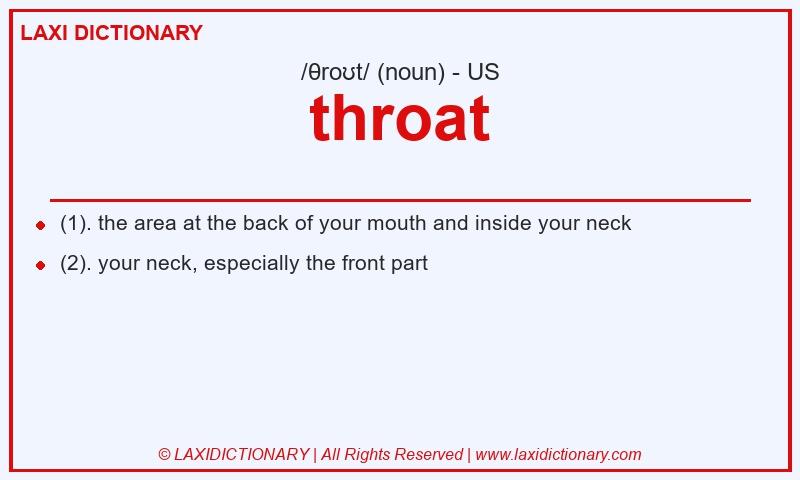 Definition throat in American English