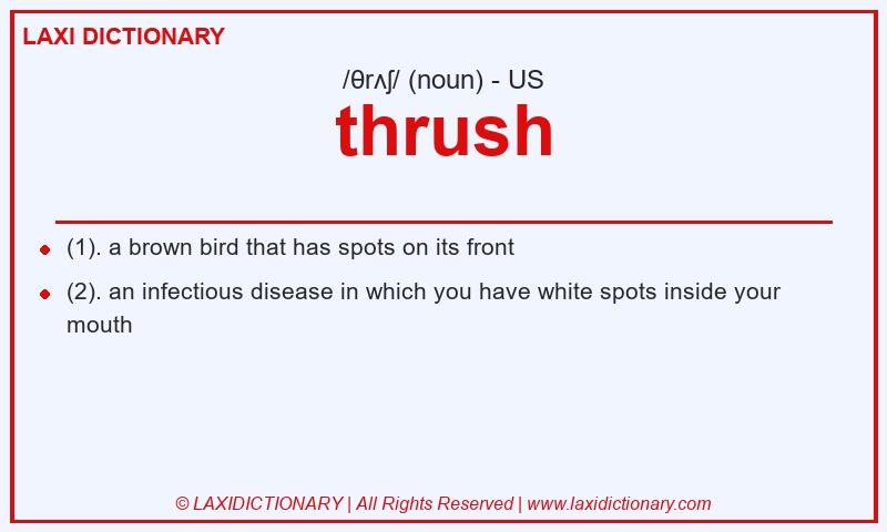 Definition thrush in American English