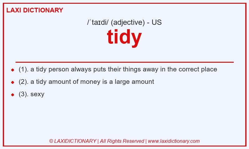 Definition tidy in American English