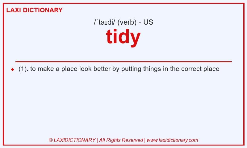 Definition tidy in American English