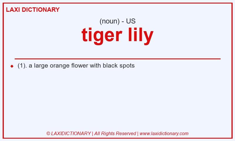 Definition tiger lily in American English