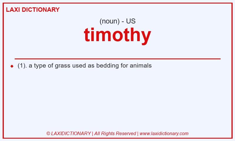 Definition timothy in American English