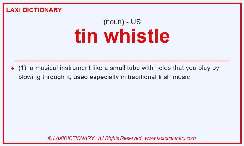 Definition tin whistle in American English