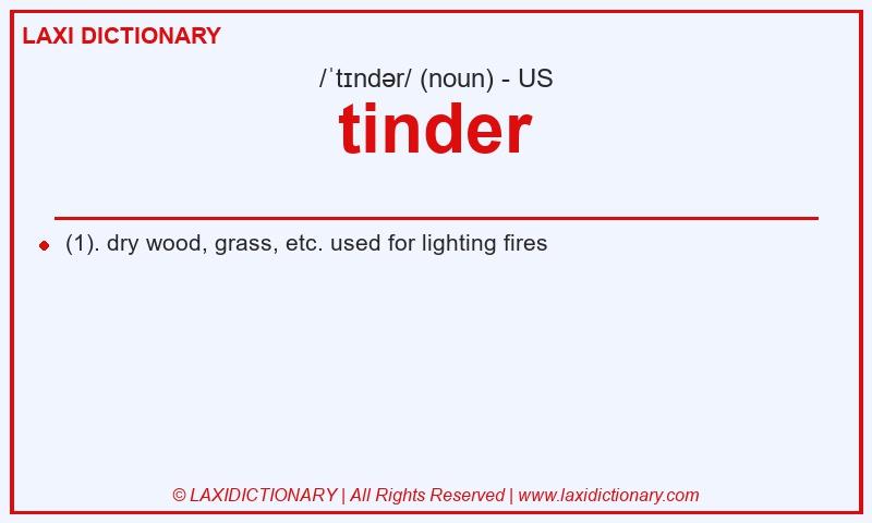 Definition tinder in American English