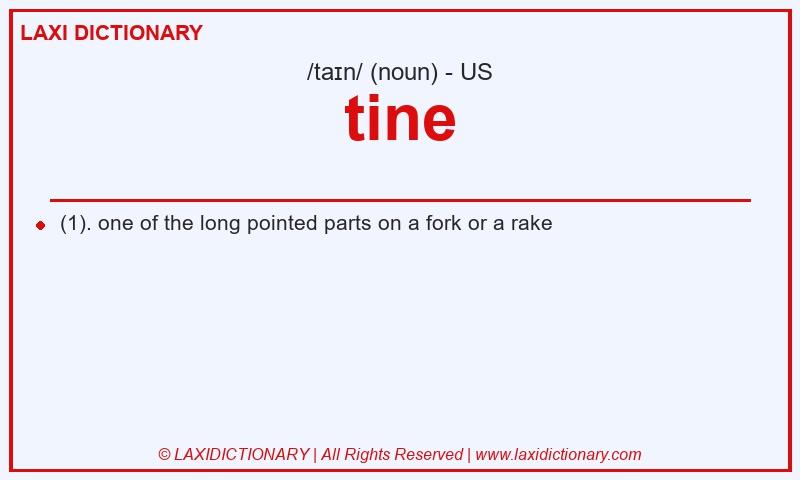 Definition tine in American English