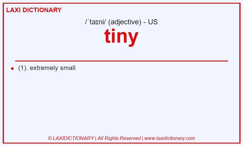Definition tiny in American English
