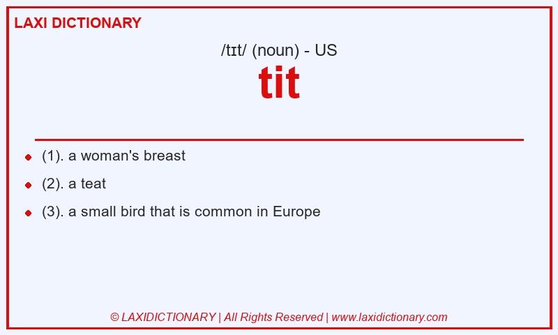 Definition tit in American English