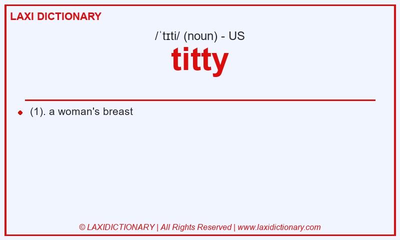 Definition titty in American English