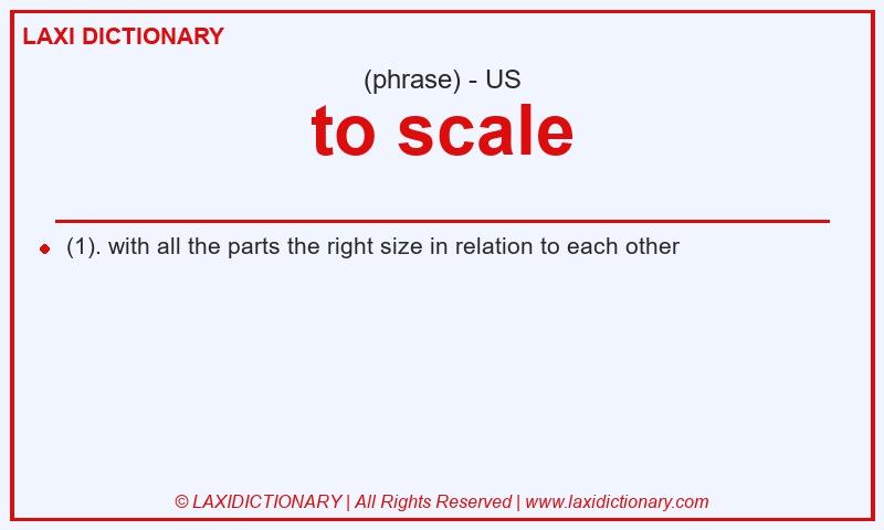 Definition to scale in American English