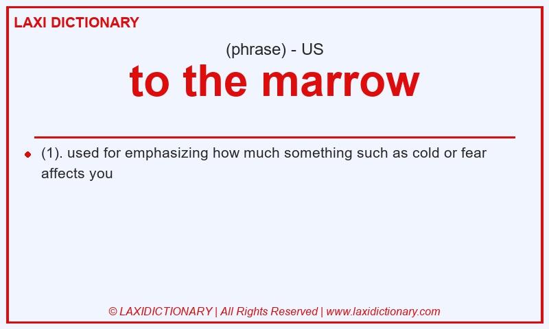 Definition to the marrow in American English