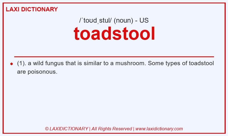 Definition toadstool in American English
