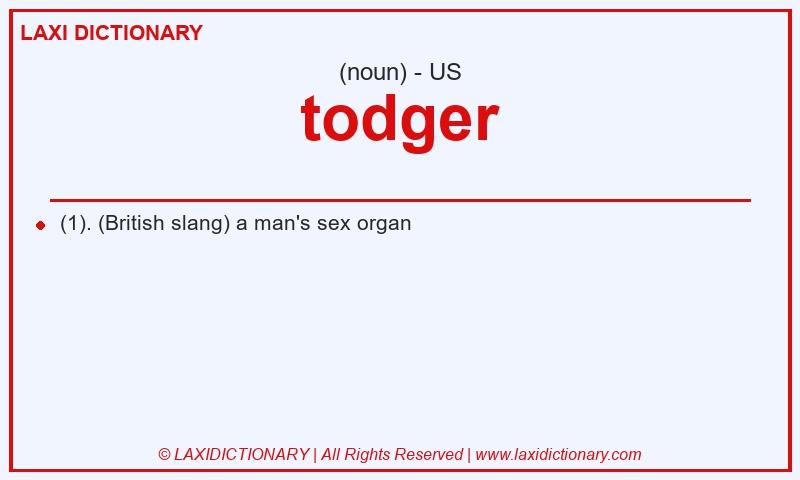 Definition todger in American English
