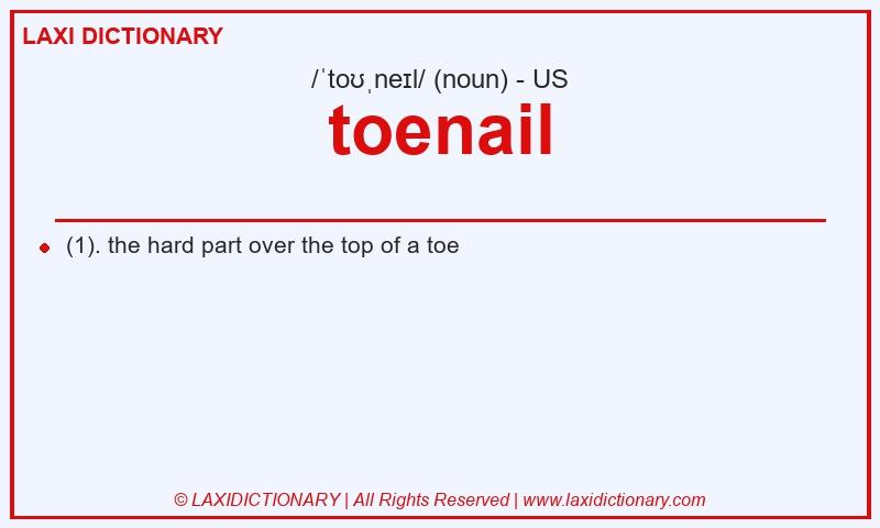 Definition toenail in American English