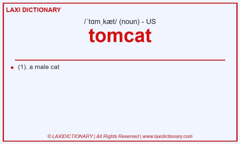 Definition tomcat in American English