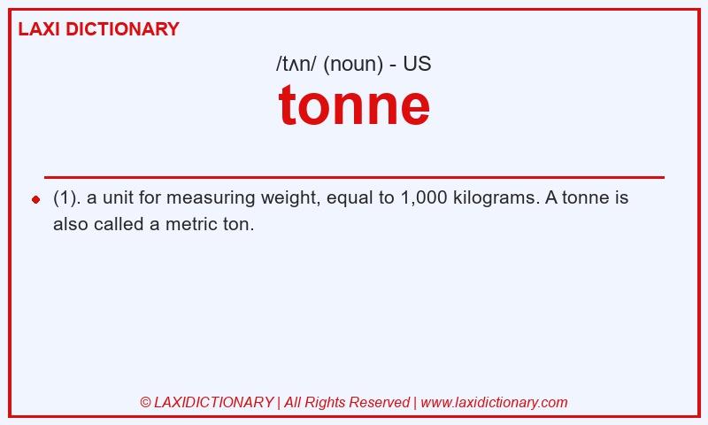 Definition tonne in American English