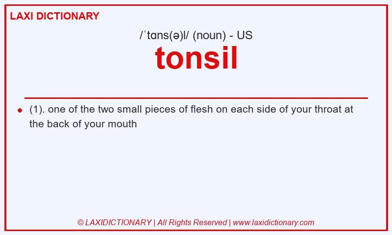 Definition tonsil in American English