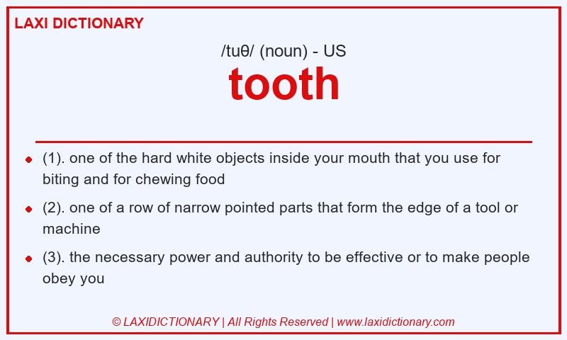 Definition tooth in American English