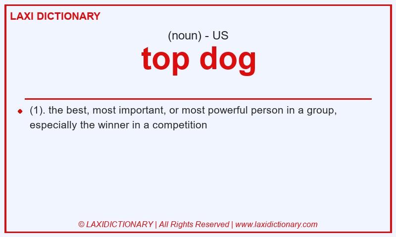 Definition top dog in American English